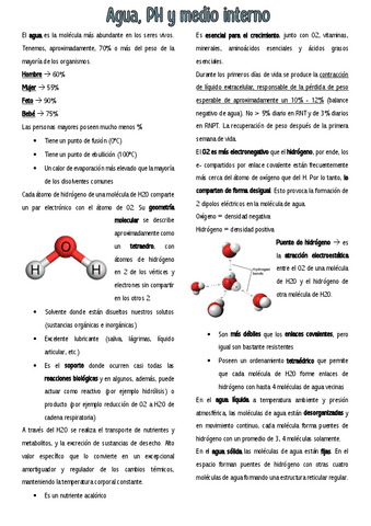 CLASE-4.pdf