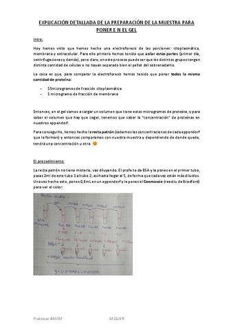 BMCM-practiques-explicacio-preparacio-mostra-per-posar-en-el-gel.pdf