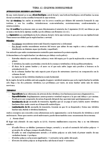tema-12.-dorsolumbar.pdf