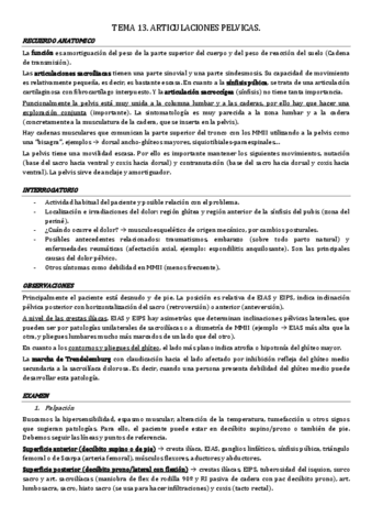 tema-13.-art.-pelvica.pdf