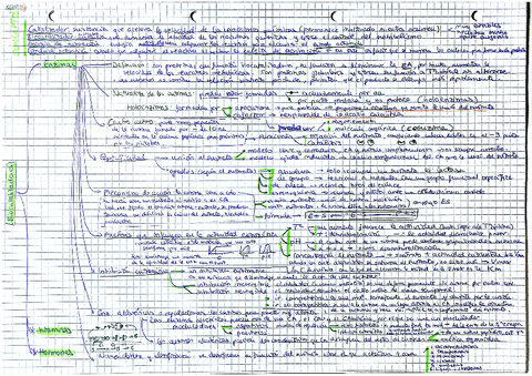 Esquema-Tema-5-BIOCATALIZADORES.pdf