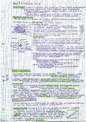 Resumen-Tema-7-Pt1-LA-CELULA.pdf