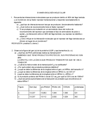 Examen2020.pdf