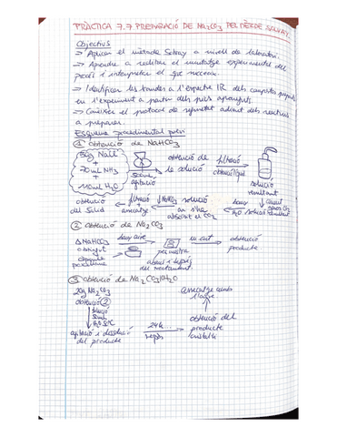 Practica-7-Solvay.pdf