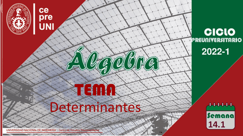 TEMA-14.pdf