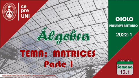 TEMA-13.pdf