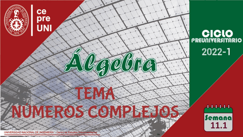 TEMA-11.pdf