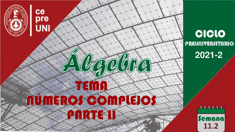 TEMA-11.pdf