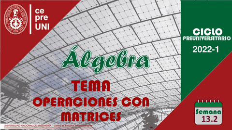TEMA-13.pdf