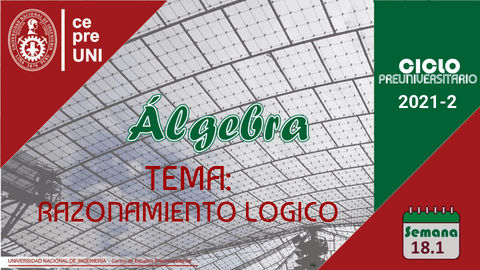 TEMA-18.pdf