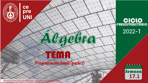 TEMA-17.pdf