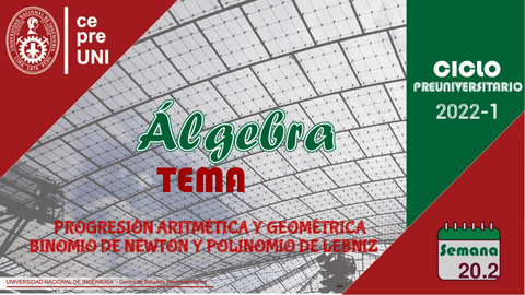 TEMA-20.pdf
