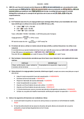 Examen-Rumiantes.pdf