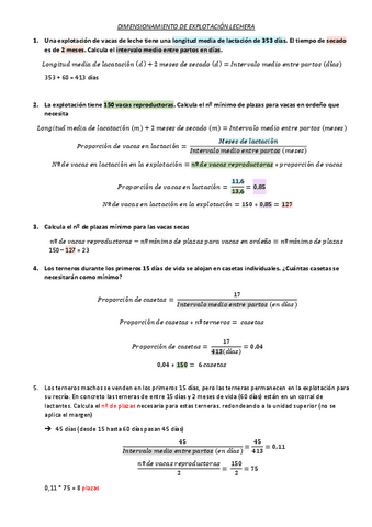 Rumiantes-UT1-Dimensionamiento.pdf