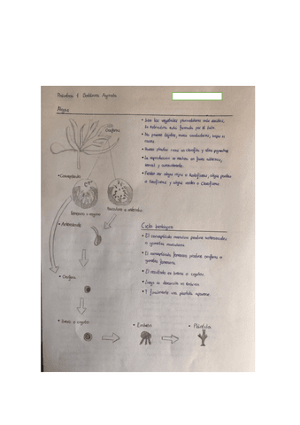 Practica-1-Botanica.pdf