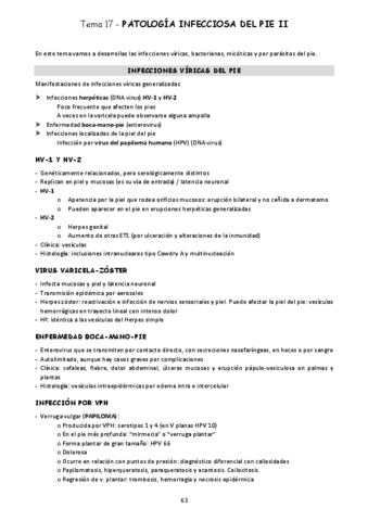 17-PATOLOGIA-INFECCIOSA-DEL-PIE-II.pdf