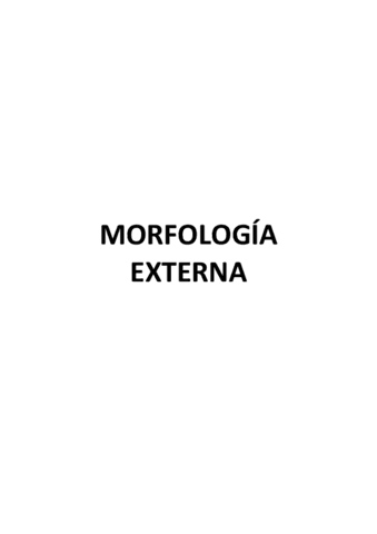 MORFOLOGIA-EXTERNA apuntes y preguntas examen.pdf