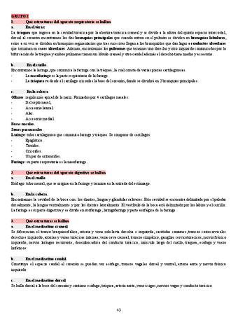 GRUPO-2.pdf