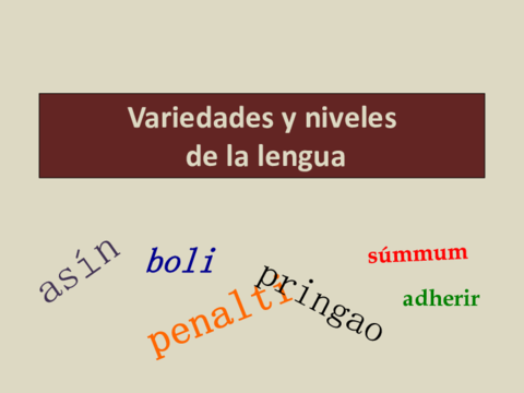1 Niveles y variedades de lengua.pdf