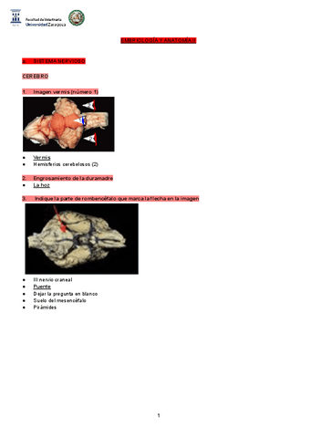 QUINIELAS-LA-CREW.pdf