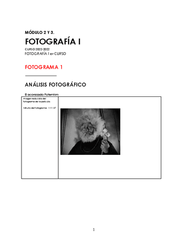 PLANTILLA-ANALISIS-FOTOGRAFICO-CINE.pdf