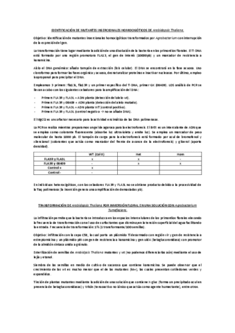 EPD-biotec-vegetal.pdf