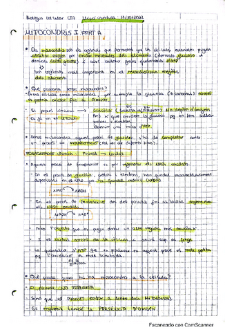 7 apunts-mitocondris.pdf