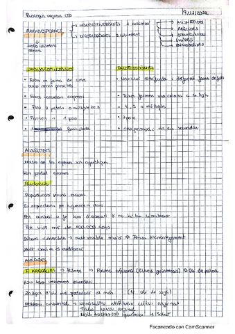 6 apunts-monocotiledonies.pdf