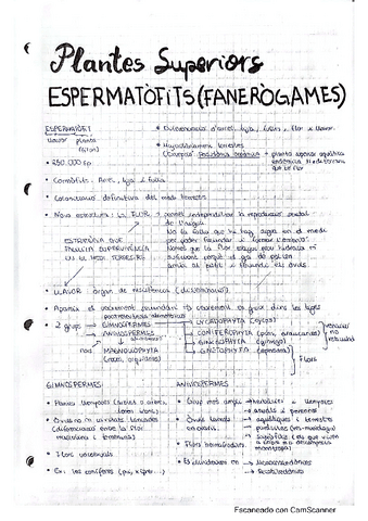 5 apunts-espermatofits-plantes-superiors.pdf