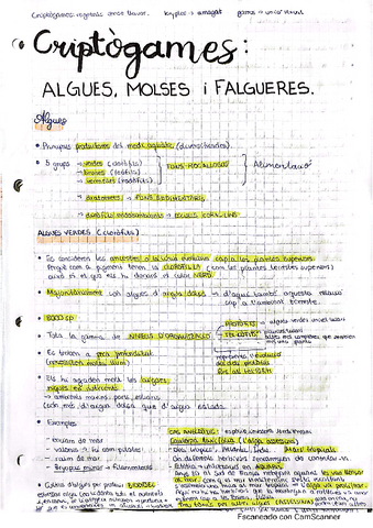 4 apunts-criptogames-algues-molses-falgueres.pdf