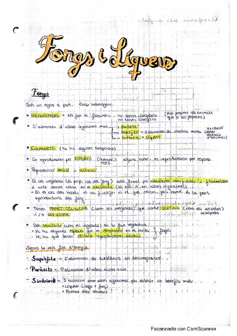 3 apunts-fongs-i-liquens.pdf