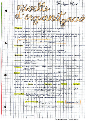 1 apunts-nivells-dorganitzacio-vegetal.pdf