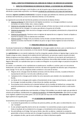 TEMA 4.pdf