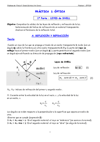 P1Optica.pdf