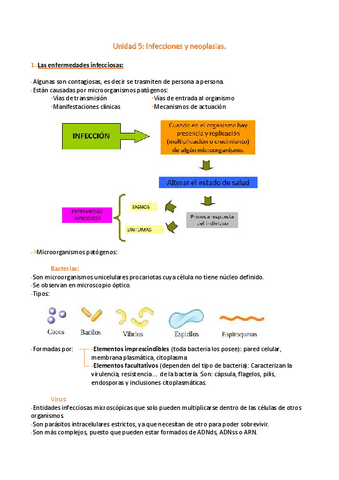 T5-Infecciones-y-neoplasias.pdf