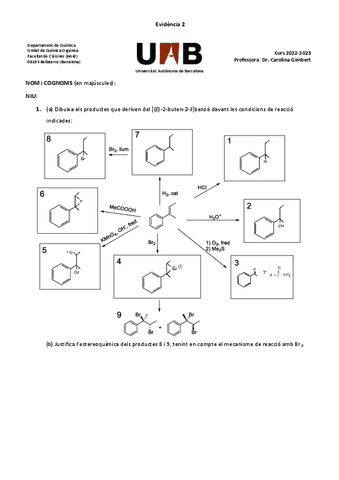 Evidència 2 Curs 22-23 SOLUCIONS QUIMICA I.pdf