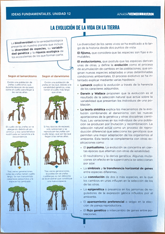 Biologia-y-Geologia-1Bach-T12-La-evolucion-de-la-vida.pdf