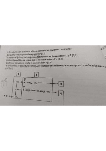 bio2ev2.pdf