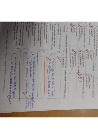 trimestral-filo-2bach.pdf