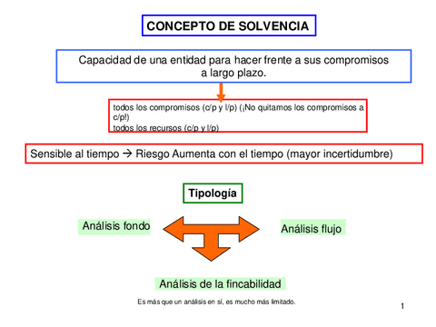 Tema-Solvencia.pdf
