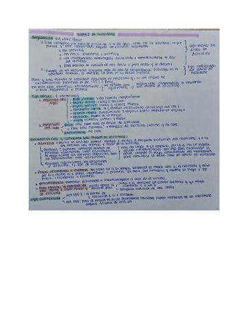 ESQUEMA-TEMA-2-PENAL-II.pdf