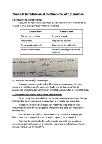 Tema-12-introduccion-al-metabolismo.ATP-y-enzimas.pdf