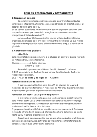 TEMA-13-RESPIRACION-Y-FOTOSINTESIS.pdf