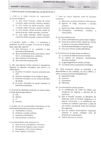 Examenes-unidos-tipo-test.pdf