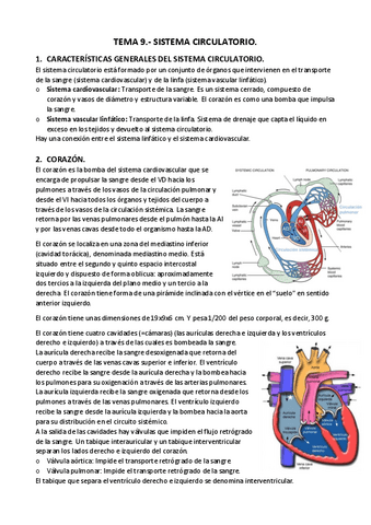 APUNTES-T.-9.-Sistema-circulatorio..pdf