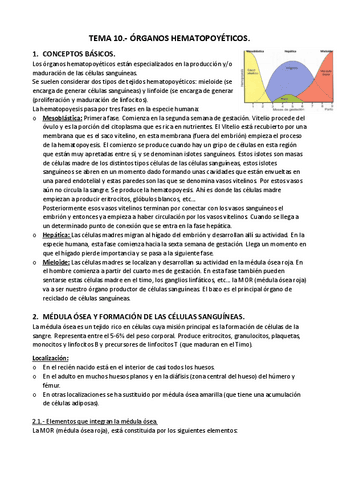 APUNTES-T.-10.-Organos-hematopoyeticos..pdf