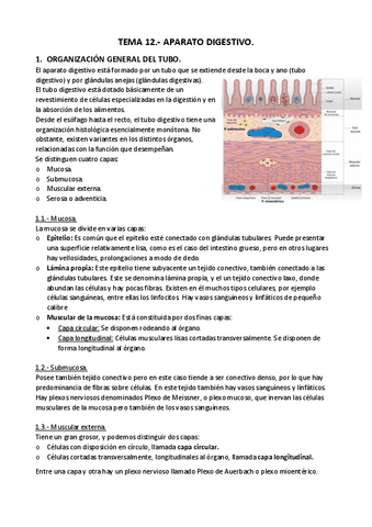 APUNTES-T.-12.-Aparato-digestivo.pdf