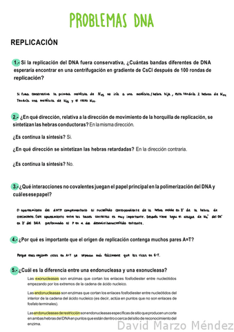 PROBLEMAS-DNA.pdf