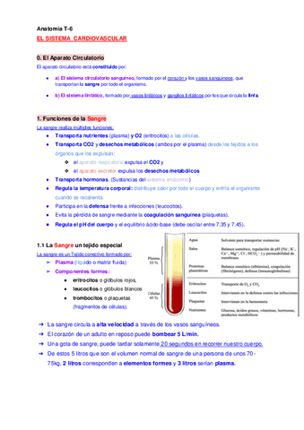 Anatomia-T-6-El-Aparato-Circulatorio-cardiovascular.pdf