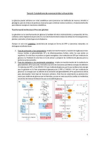 Bioquimica-II-metabolismo.pdf